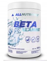 ALLNUTRITION Beta Alanin 500 g Eisfrisch