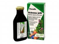 FLORADIX Darmschutz 250 ml