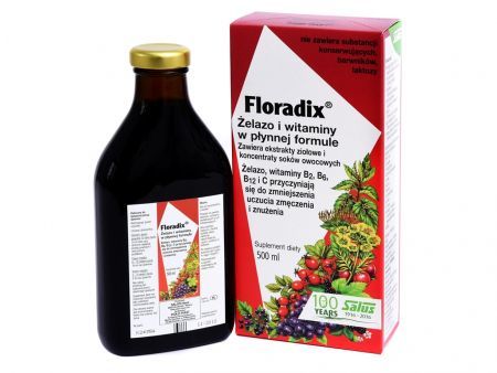 FLORADIX Eisen & Vitamine 500 ml
