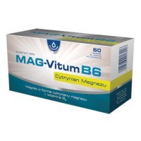 OLEOFARM Mag-Vitum B6 60 Tabletten