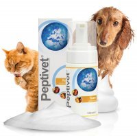 Peptivet Foam Dermatologisches Präparat in Form von Schaum für Katzen und Hunde 100 ml